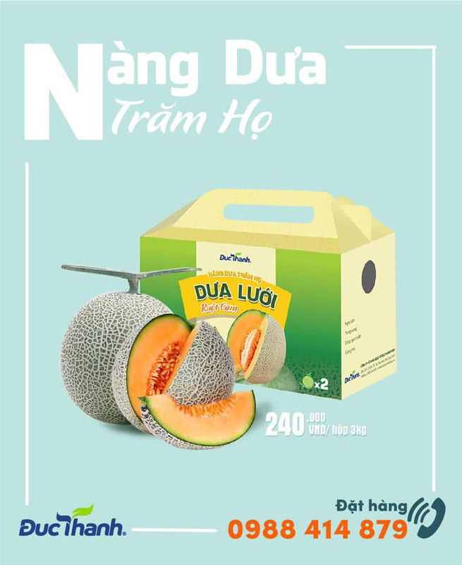 Dưa lưới Đức Thành ruột cam - 1