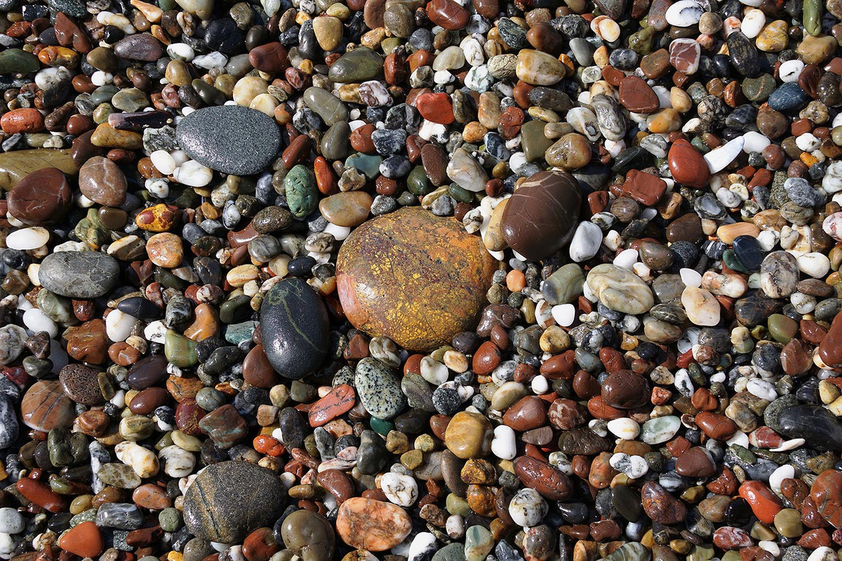 TT00049-72y.jpg