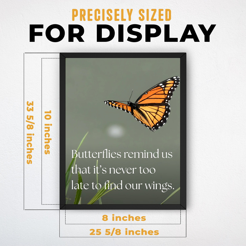 (IP003281C) Find Our Wings V2
