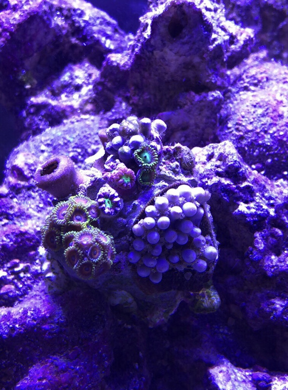 C66216FA-5495-4554-B309-8ACCC41257C3