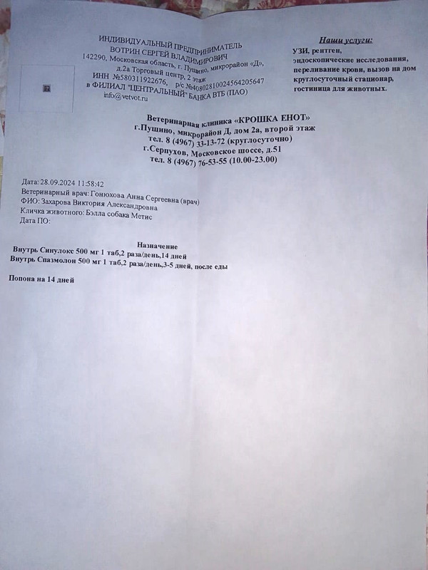 IMG-20241009-WA0366.jpg