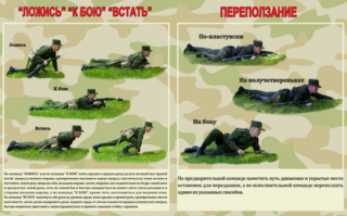 https://i.postimg.cc/Qt7CShwc/scale-1200.png