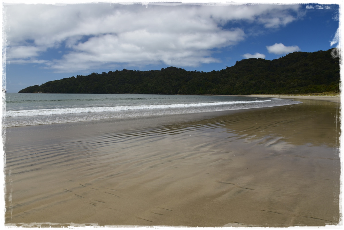 Escapadas y rutas por la Nueva Zelanda menos conocida - Blogs de Nueva Zelanda - Stewart Island:  kiwis, Coast to Coast y unos días en Oban (febrero 2021) (40)