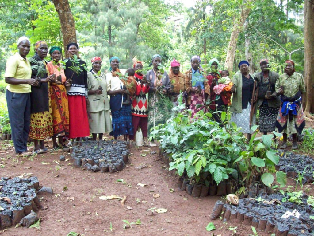 Planting Trees Changing Lives