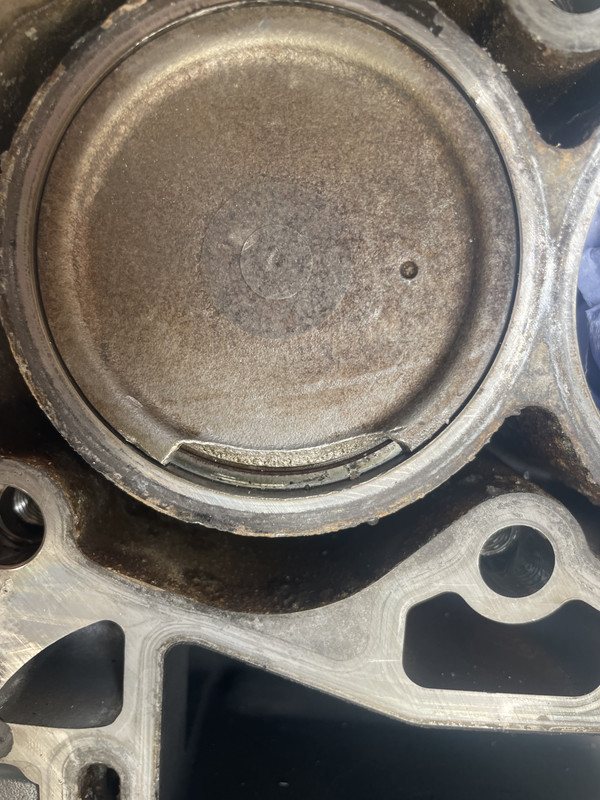 350925DD-6A98-4247-B419-0DA1959E89E6