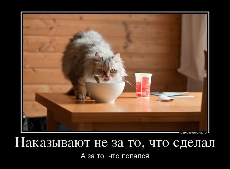 4qfucdgjs48.jpg