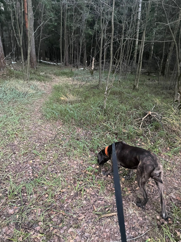 F245C72C-D5E6-4F14-8ACB-390F8B48C24F