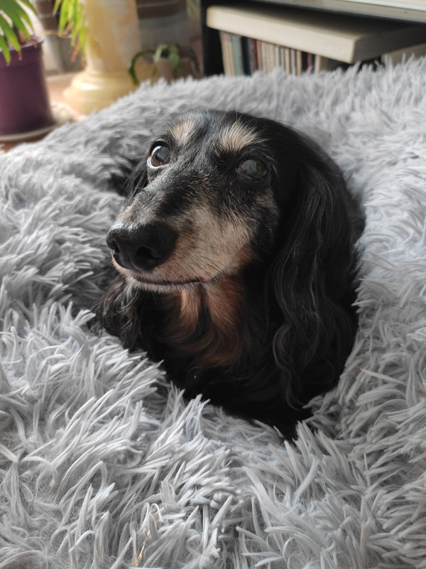 [Image: IMG-20210806-155220.jpg]