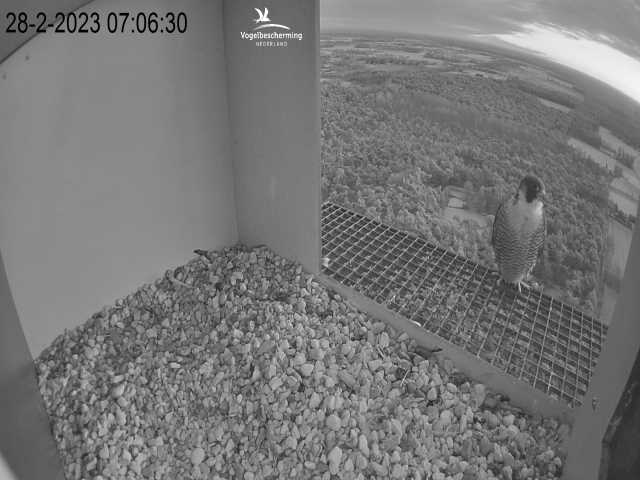 Campics © VWGGemert/BDL en Hans Natuurkanaal. - Pagina 3 1