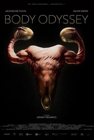 Body-Odyssey.jpg