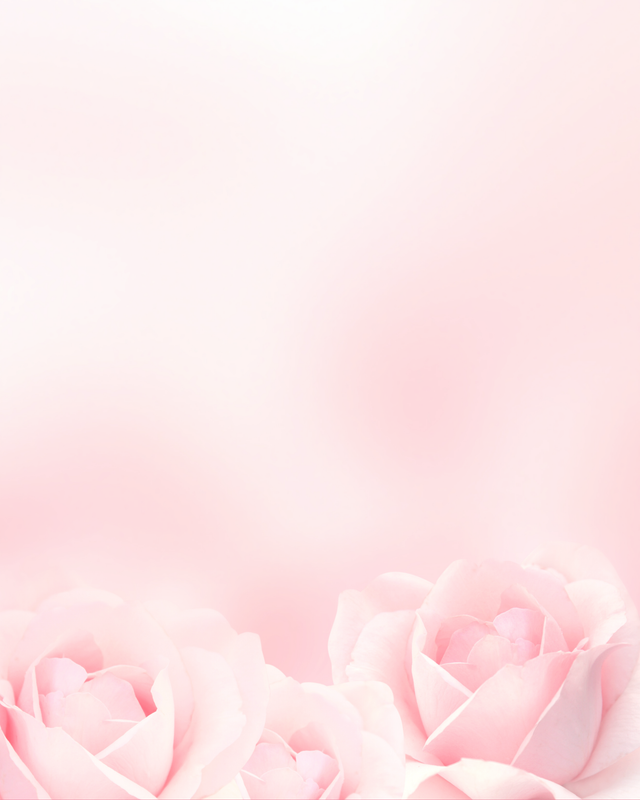 Wonder Roses