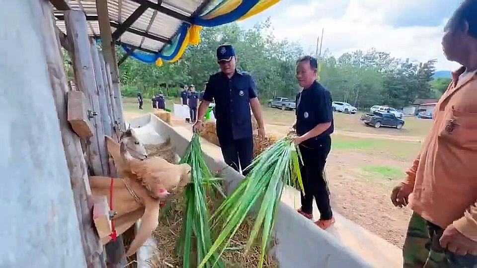 vlcsnap-2025-12-26-20h19m01s724