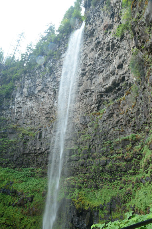 Zona volcánica de Oregon - Árboles gigantes, fuegos y volcanes extintos - Oregon y California norte (2018) (21)