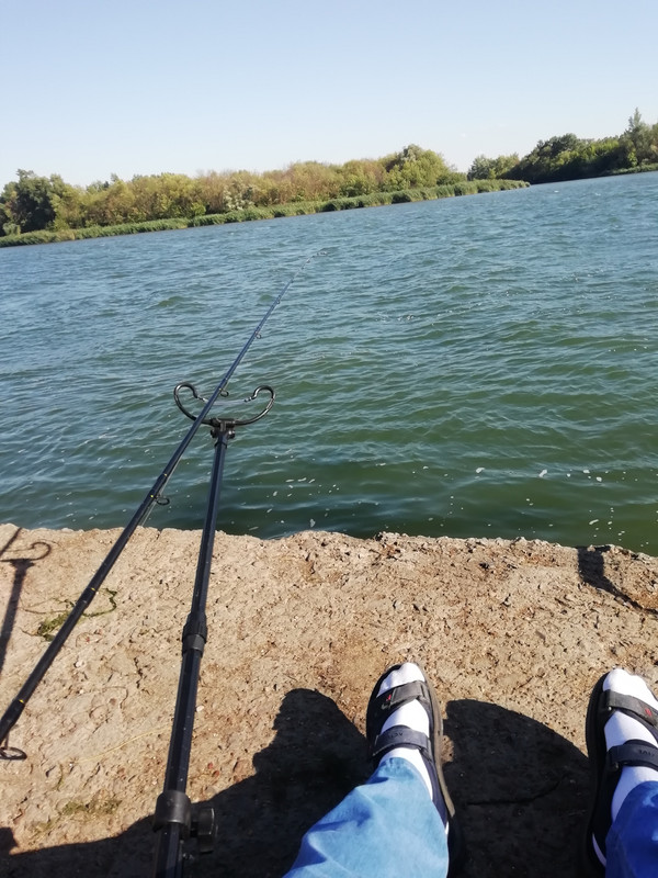 Изображение 1773