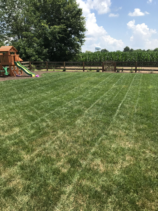 A9B1AC79-9661-4ED6-B759-6F6245A732BA