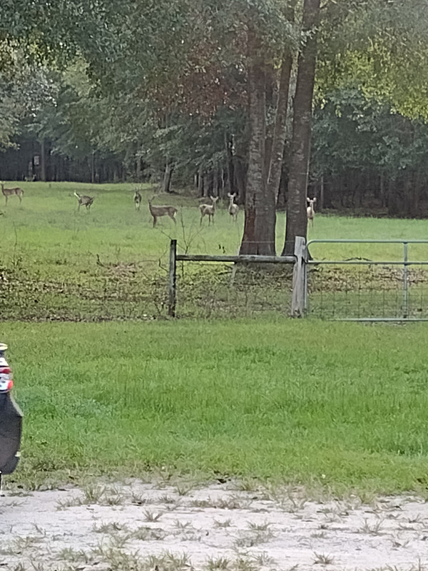 IMG_20220907_184813719