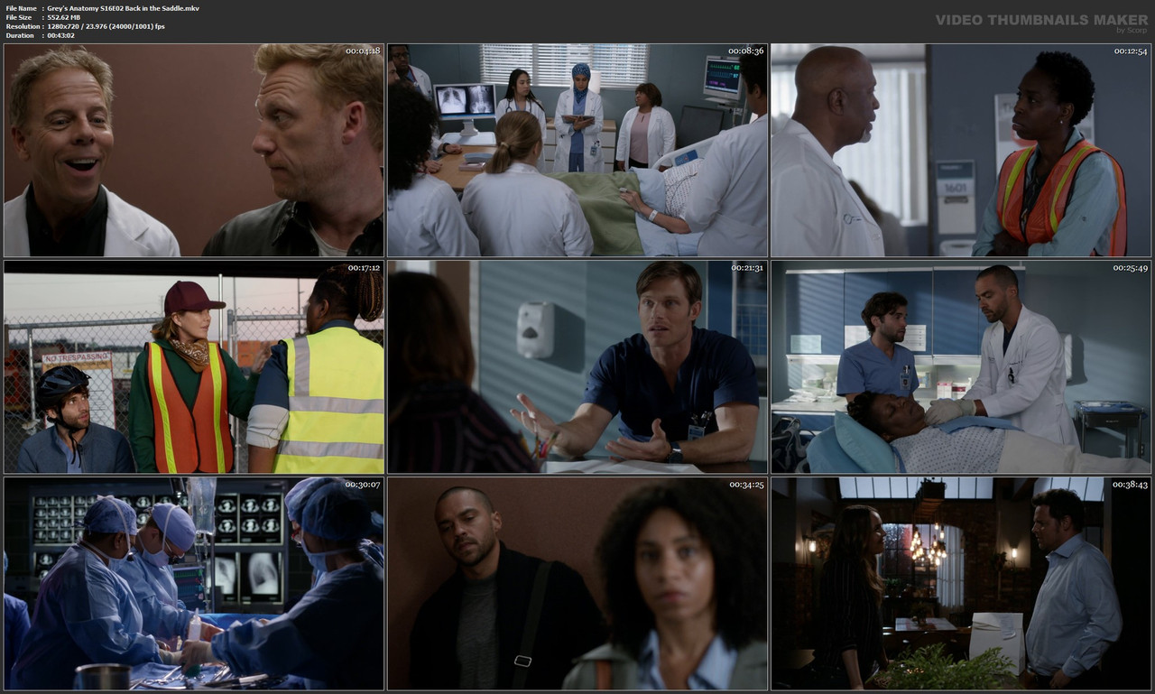 Grey's Anatomy S16E02 Back in the Saddle.mkv