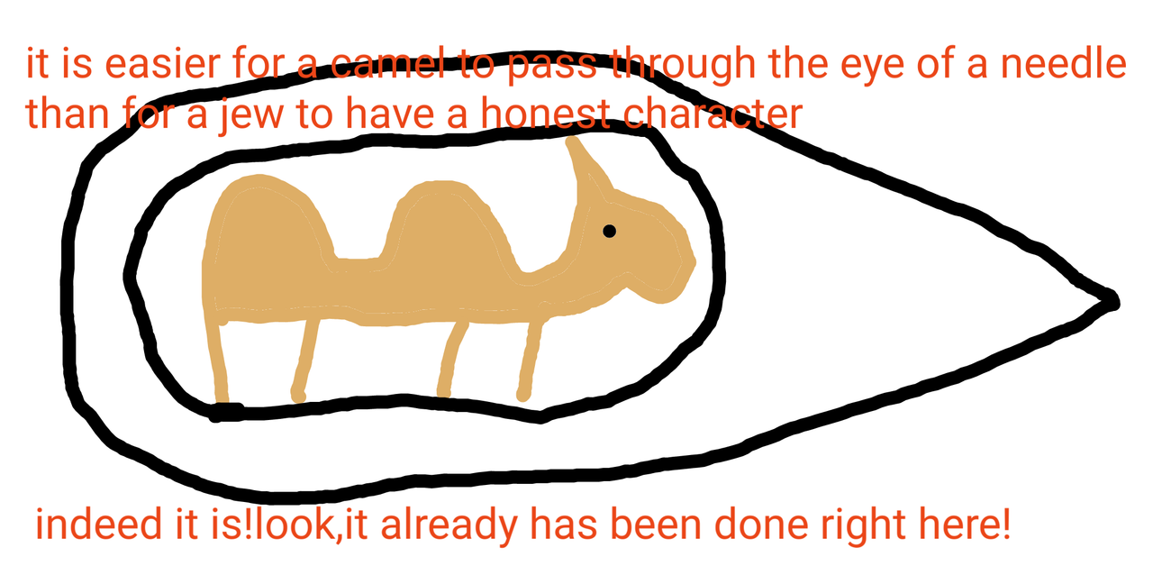 camel.png