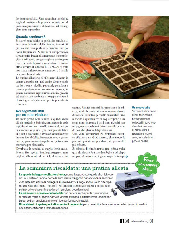 Pol Ver Feb 2024 (8)