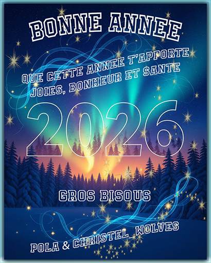 bonne-annee-2026-Francais-etoile-pola-et-chris