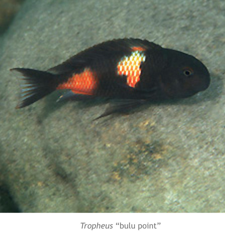 24B22191-90BB-4B7A-A2EE-3FE3FA98F8CE