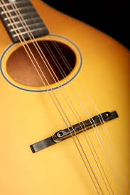 mandolin strings arranged in four pairs close up