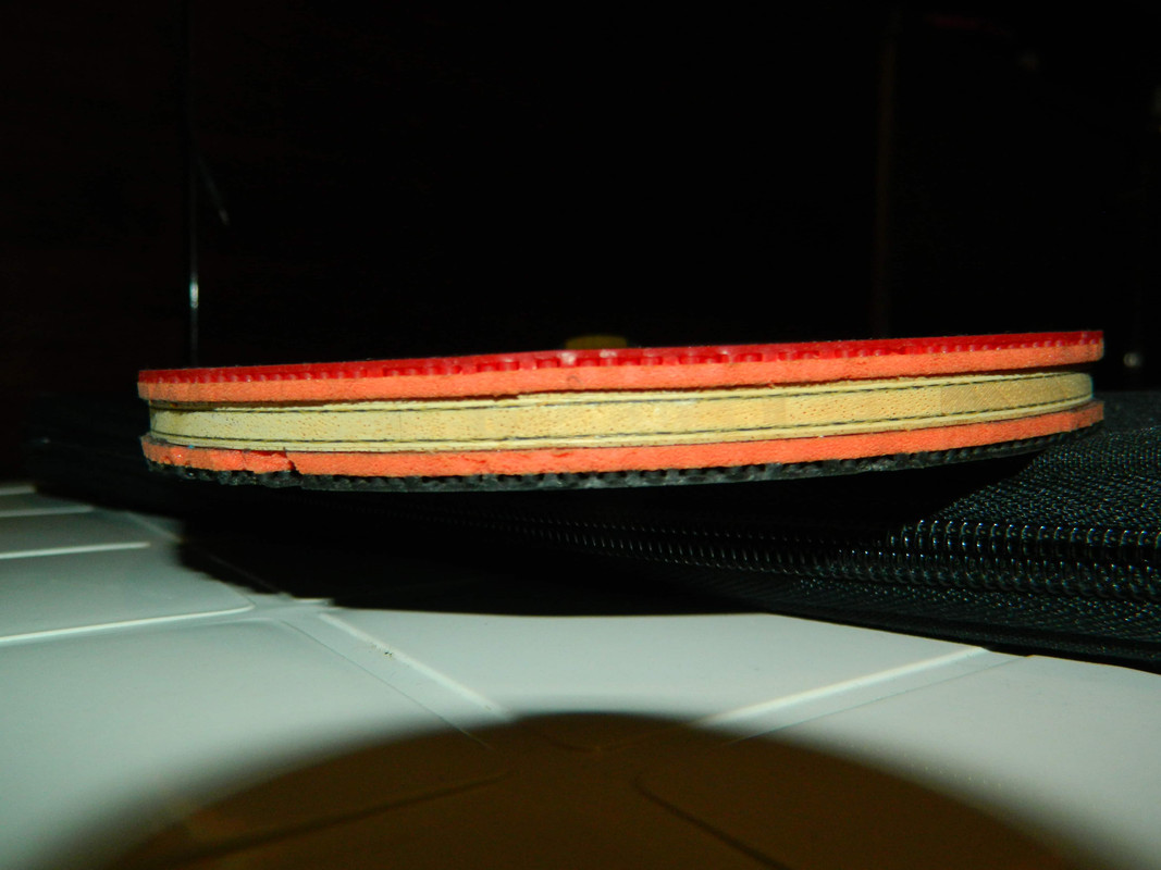 DSCN2728