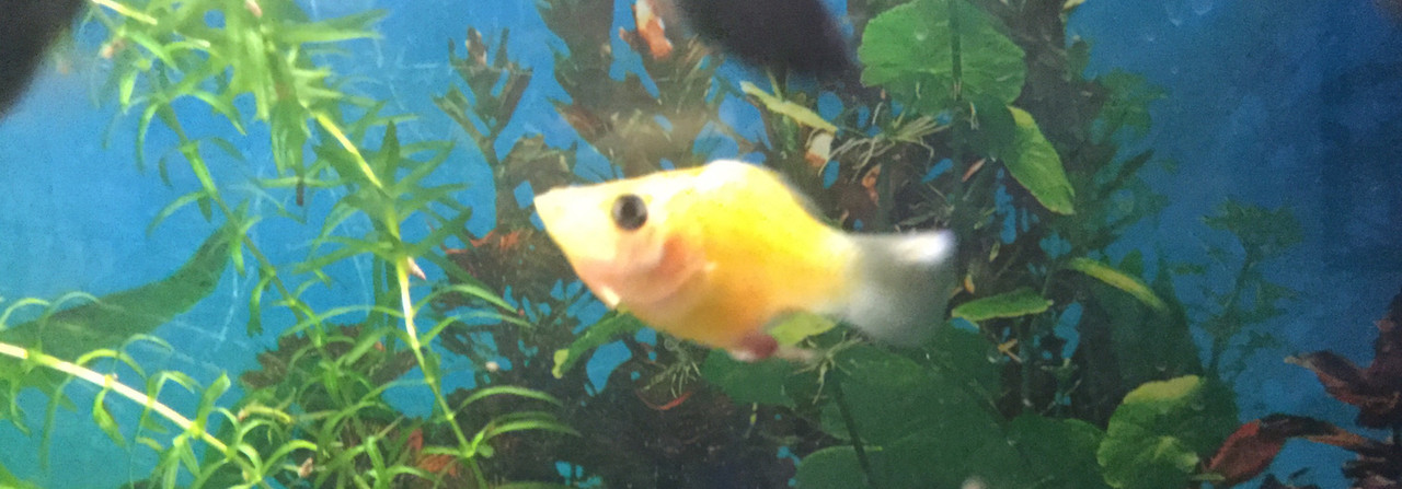 CA1956DE-C995-49DF-A4AD-8A1F6039CB20