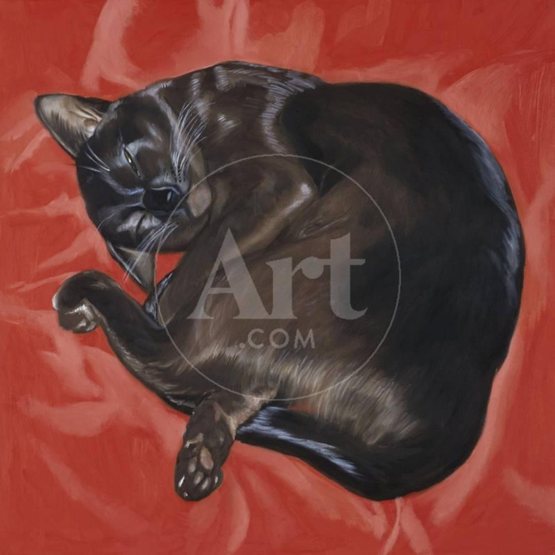 velvet-cat-i-chat-velours-i_u-L-Q1HAL4I0