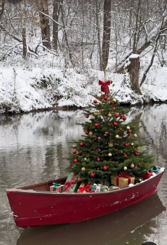 Screenshot_20240124_234405_Pinterest