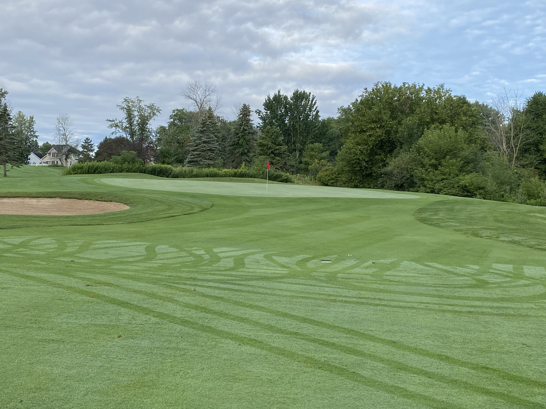 555650A5-9426-4031-853E-152ECD975A24