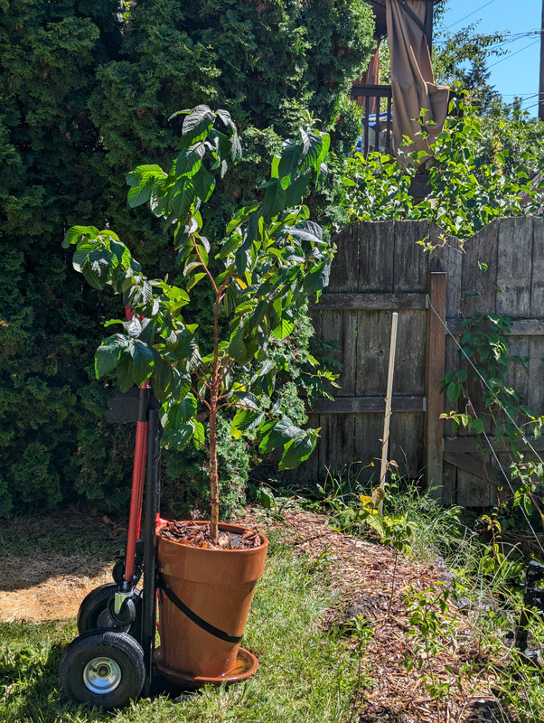 PXL_20240624_225453814