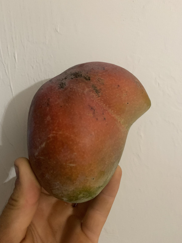 06D48F94-34FC-4DFE-A96F-E9F4588F90EA