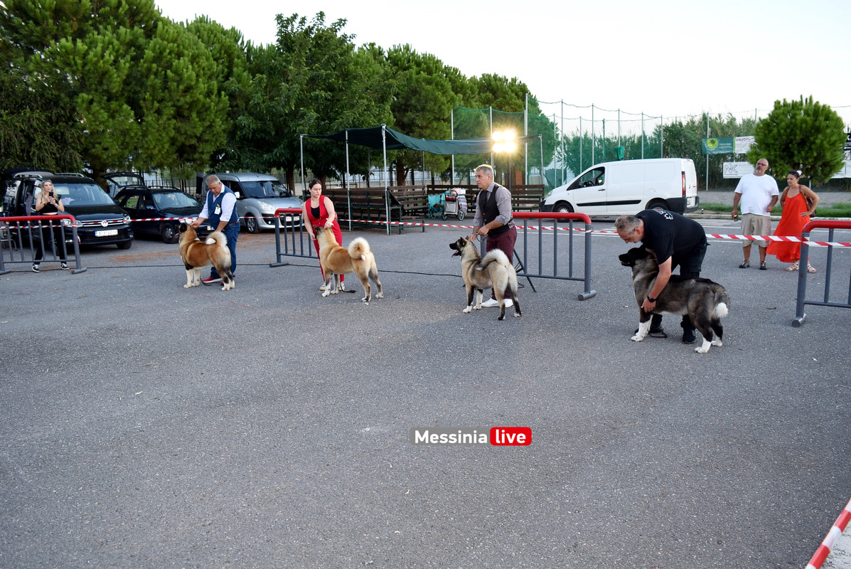 παρκο σκυλιαDSC_0960