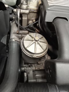 IMG20220809155519.jpg