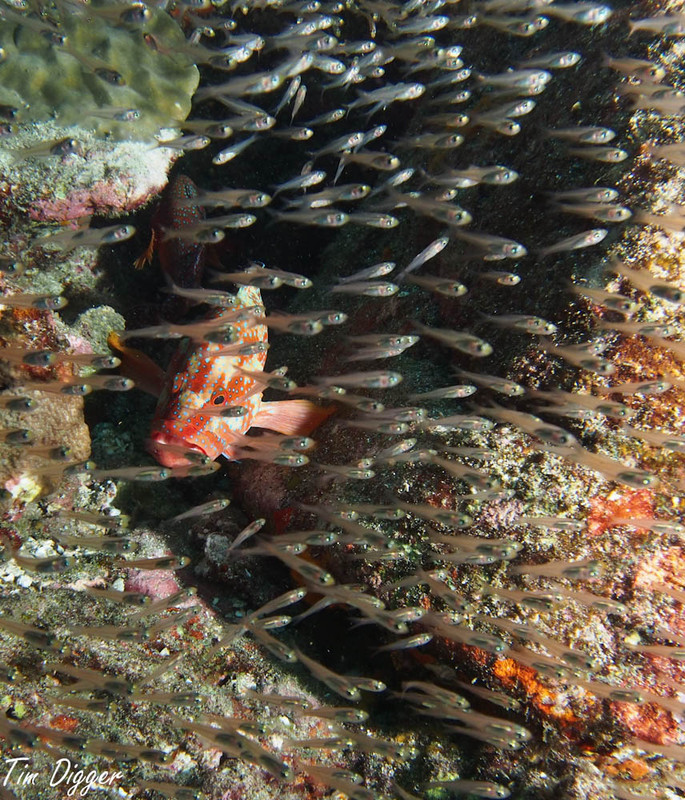 Thailand small-217102