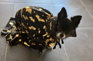 [Image: IMG-6788.jpg]