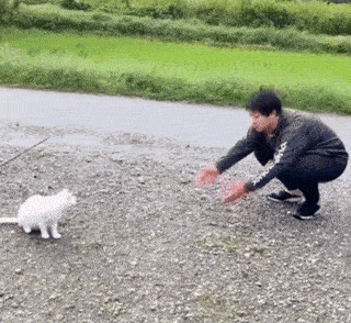 IMG-4824.gif