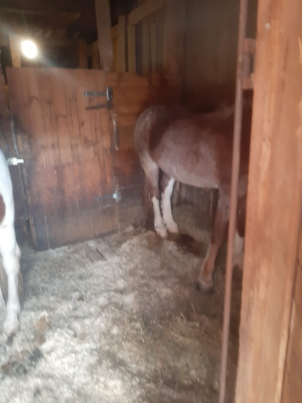 WhatsApp Image 2021-03-10 at 09.27.17 (1)