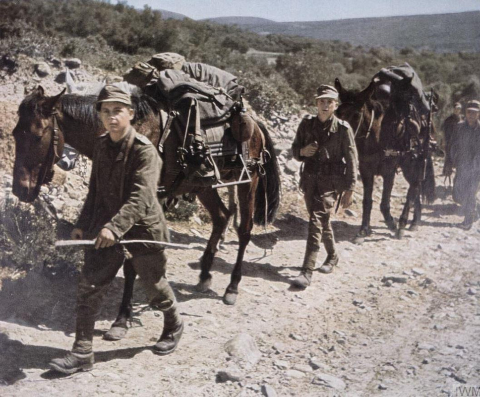 German WWII Eastern Front (4)