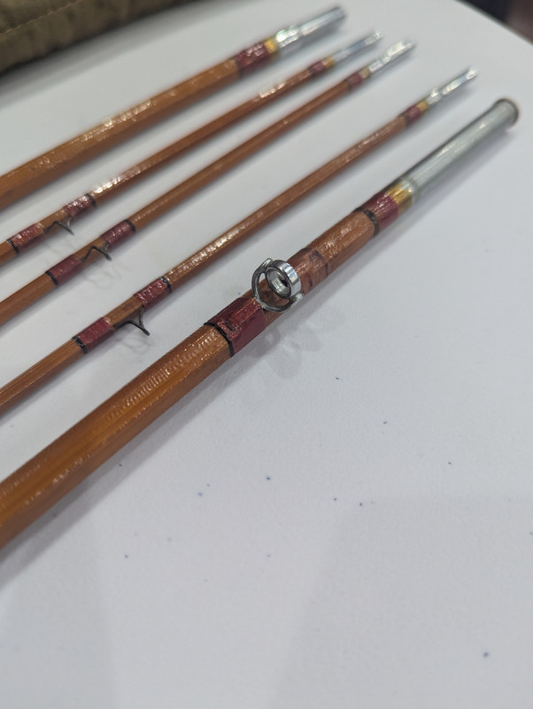 PXL_20251010_204337463