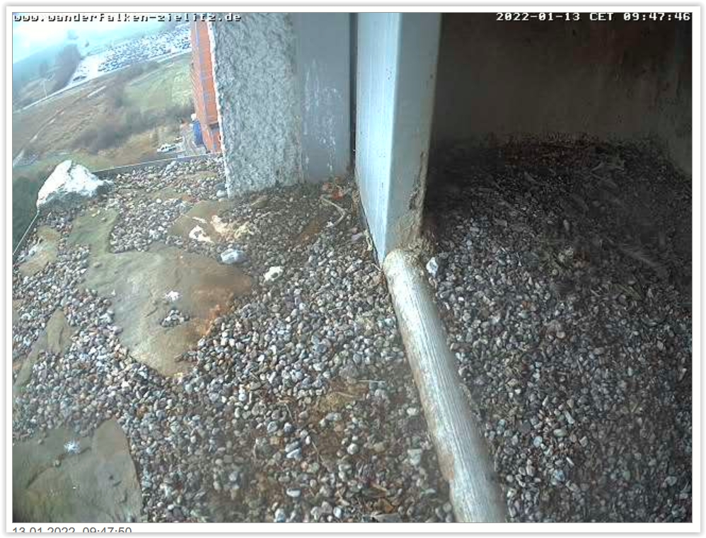 Screen Shot 01-13-22 at 09.48 AM