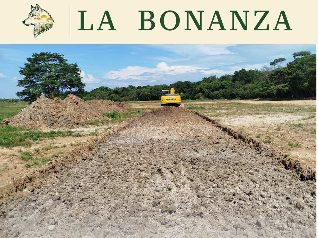 Preparación del terreno