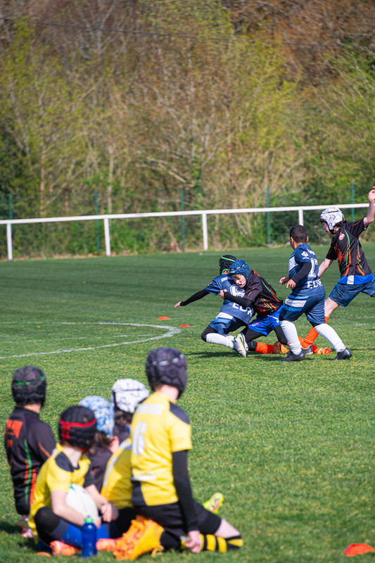 tournoi-de-latlantique-2026-adonis-griffon-165-55181546039-l