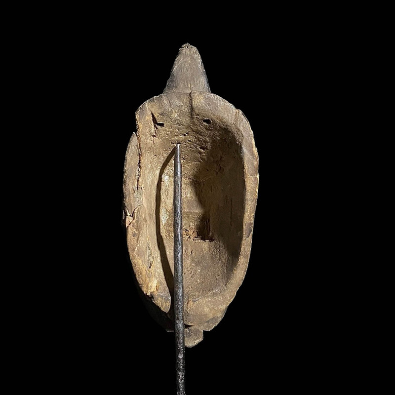large image 11