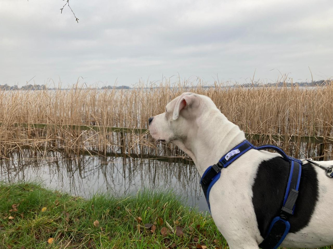 2546B901-6F8A-4024-916C-4A44D3BD4C45