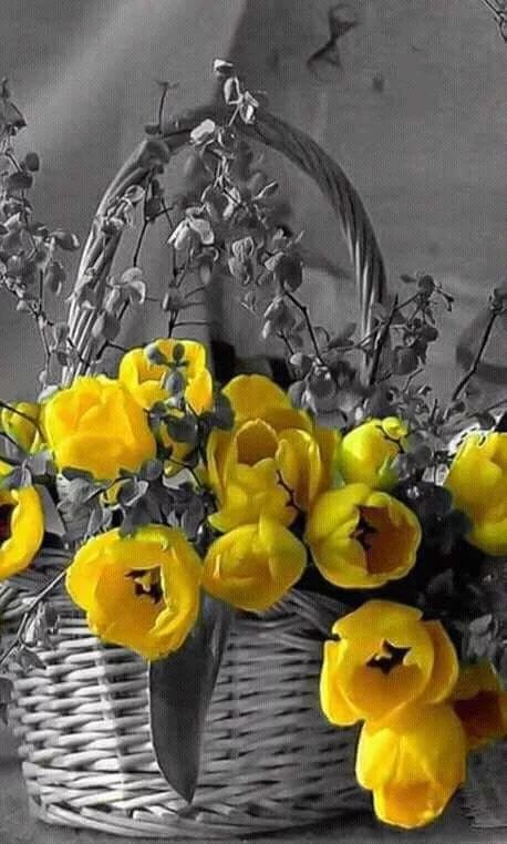 flowersbasketyellow.jpg