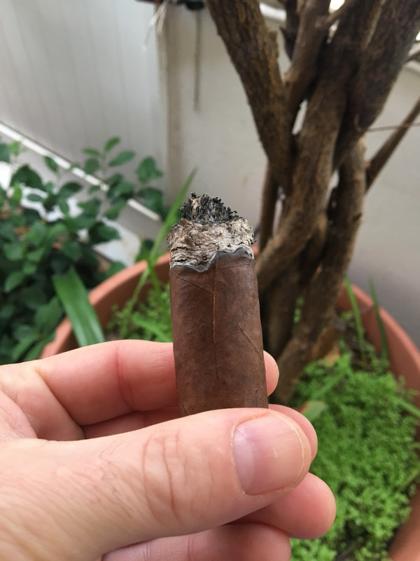 B8B02EE5-7A4F-4556-B9E1-51BFFD3452C9