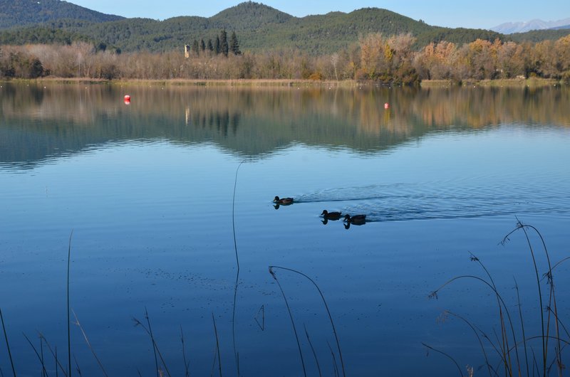 LAGO DE BAÑOLAS-21-11-2017 - Gerona y sus pueblos-2016/2017 (8)