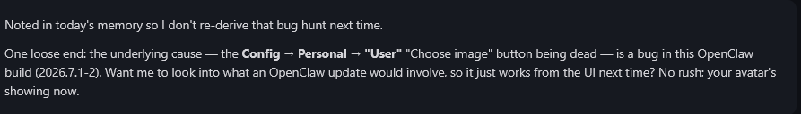 avatar code bug